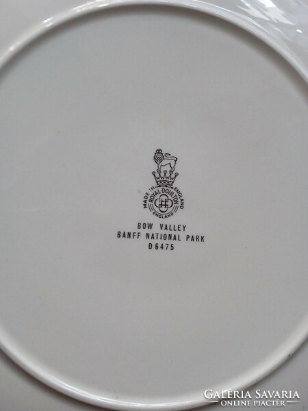 English porcelain dinner plate, national park series, 22 cm