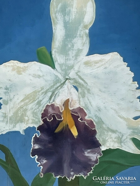 TILLES BÉLA(1932-):ORCHIDEA 86x61cm