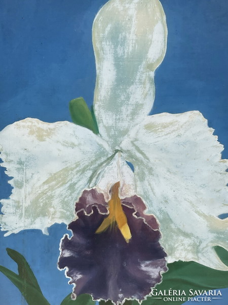 TILLES BÉLA(1932-):ORCHIDEA 86x61cm