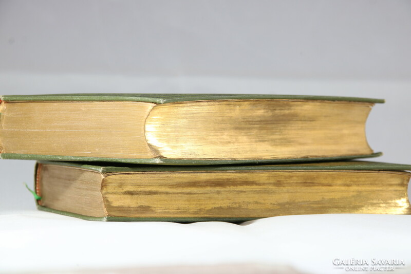 1866 History of Transylvania in two volumes with gold engraving, a beautiful piece!