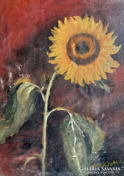 Sunflower - riba márta 1973 - oil painting (30x40 cm) the picture has a photo