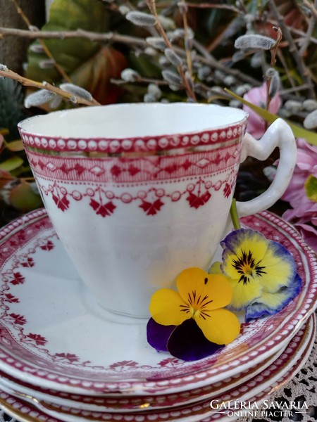 Antique tea cup + coaster