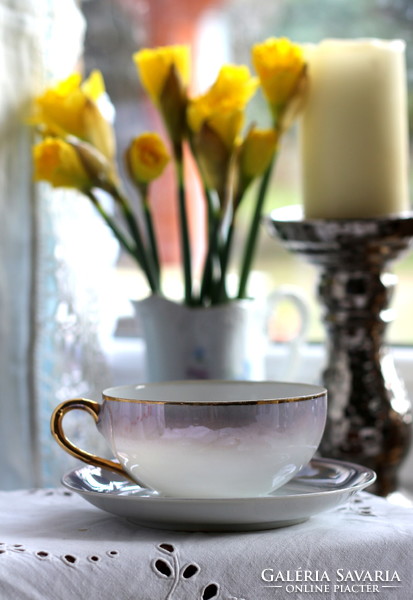 Eigl Austria tojáshéj porcelán, kék szín, finoman irrizáló, aranyozott teás szett