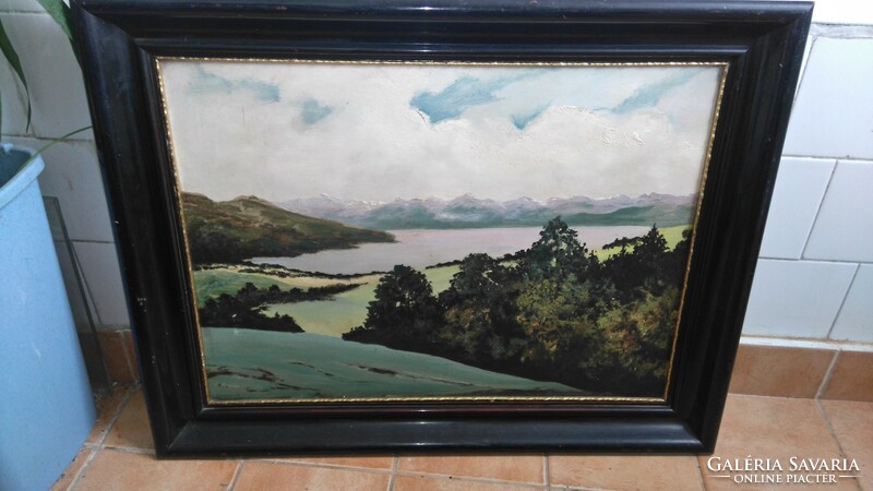 Presumably a landscape by a Ukrainian or Russian painter 1920k oil / painting plate 76x59 in original frame unopened