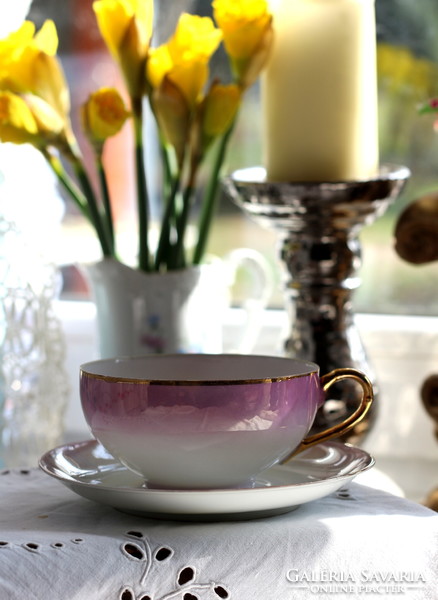 Eigl austria eggshell porcelain, pink/strong pink, delicately iridescent, gold-plated tea set