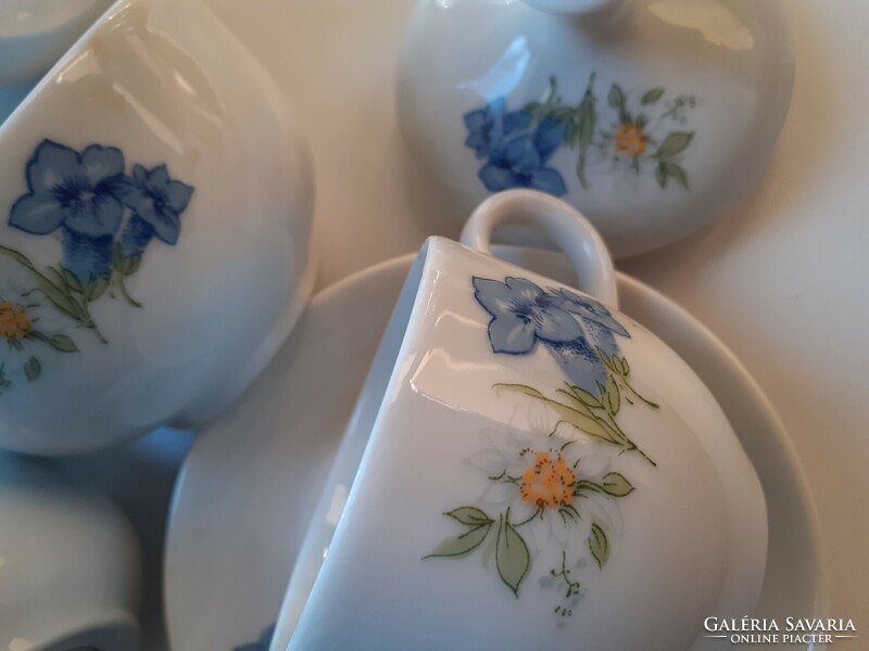 Czech coffee set, porcelain, floral.
