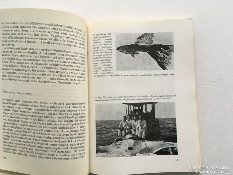 Lányi György: A hal mint élőlény és mint táplálék - 1968.
