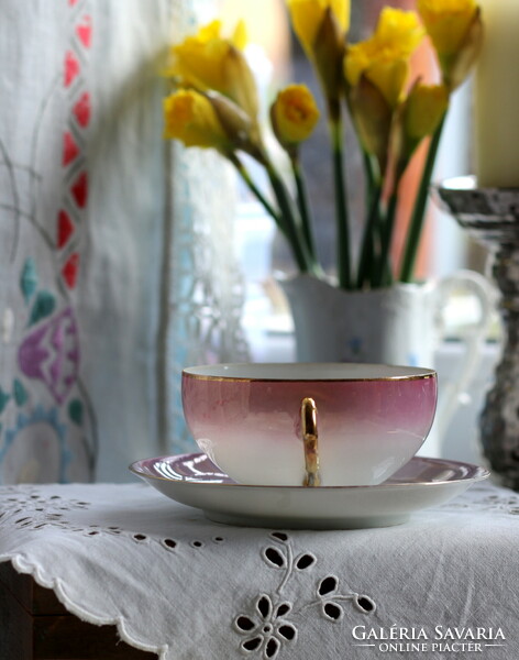 Eigl Austria tojáshéj porcelán, lila szín, finoman irrizáló, aranyozott teás szett