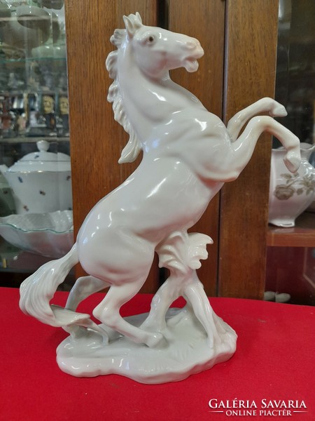 German, Germany volkstedt karl ens branching paripa, horse porcelain figure. 23 Cm