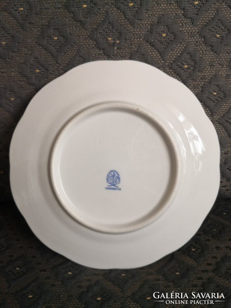 Brilliant Herend mhg patterned plate