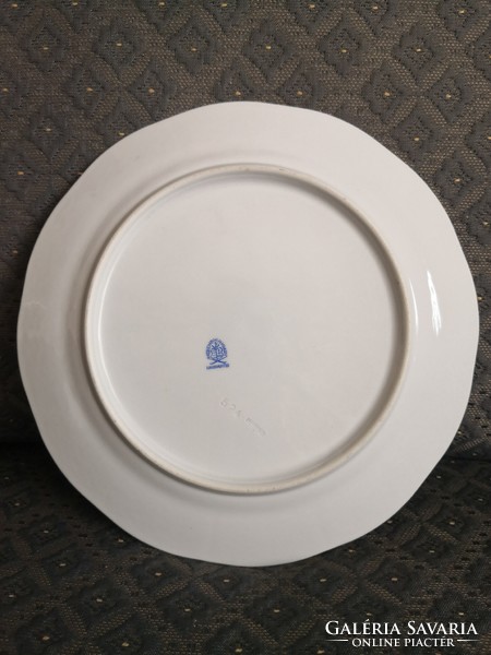 Brilliant Herend mhg patterned plate