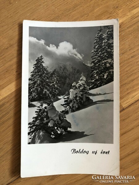 New Year's postcard - 1954