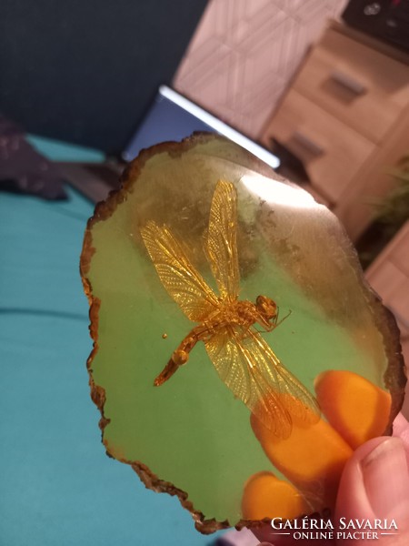 Sumatra amber with sieve stones (copal resin)