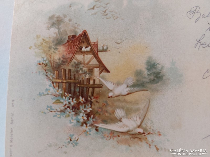 Régi képeslap 1899 levelezőlap galambok