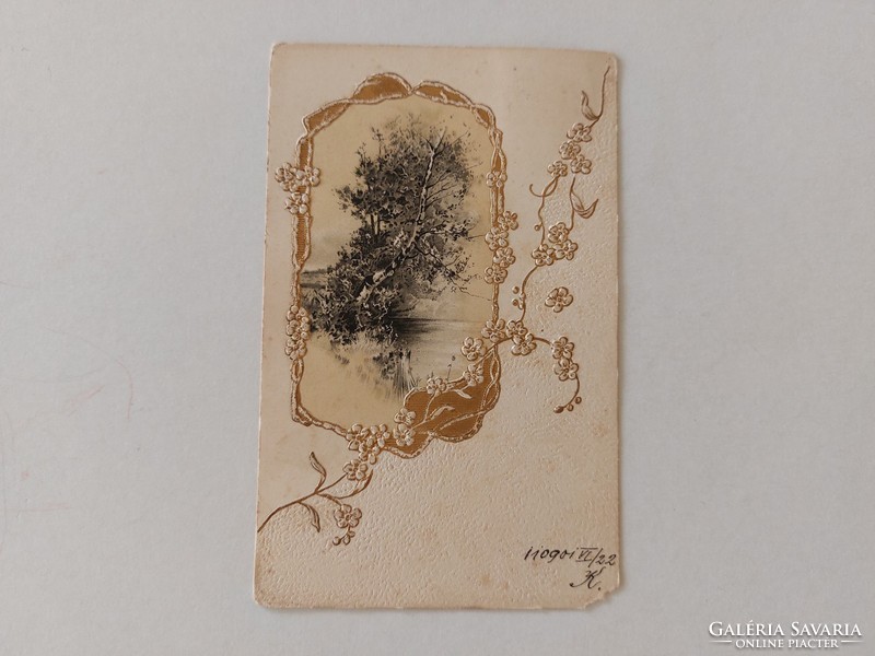 Régi képeslap 1901 dombornyomott levelezőlap nyírfa virágok