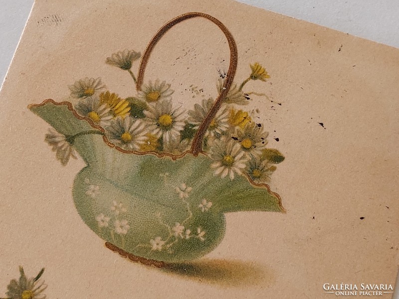 Old postcard 1900 postcard with chamomile