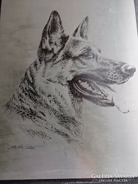 German shepherd dog wall decoration picture