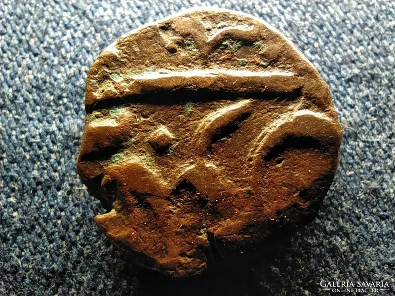 Vastag indiai bronz böcek (id57544)