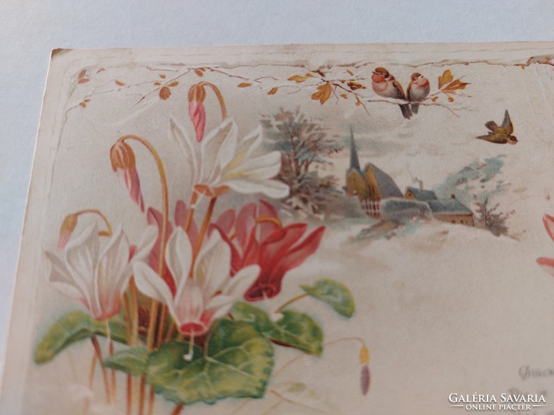 Régi képeslap 1901 levelezőlap ciklámen kismadarak