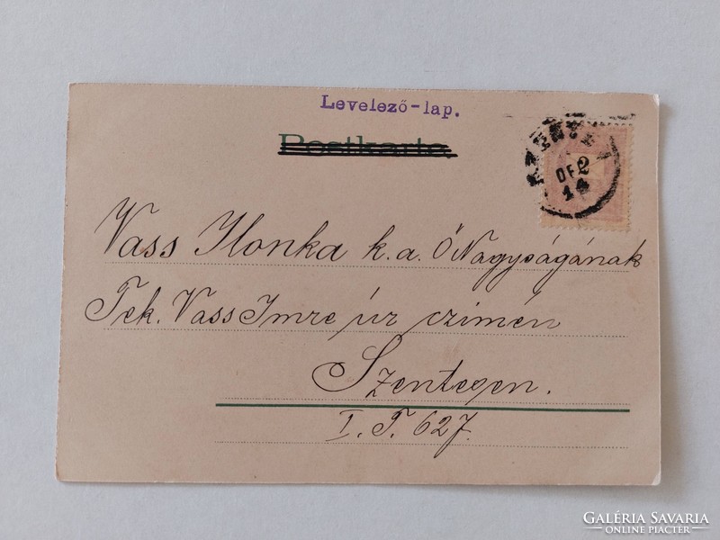 Régi képeslap 1899 levelezőlap vadrózsa