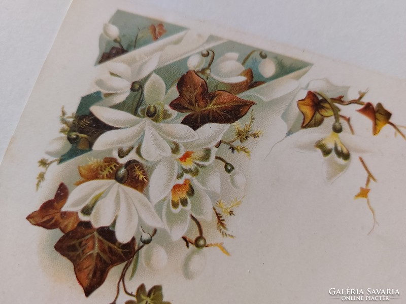 Régi képeslap 1900 levelezőlap hóvirág borostyán
