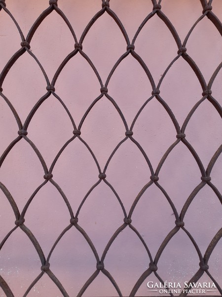 Wrought iron gate or door grille