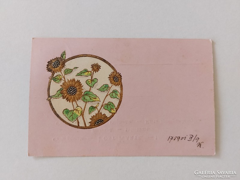 Régi képeslap 1901 dombornyomott levelezőlap napraforgó