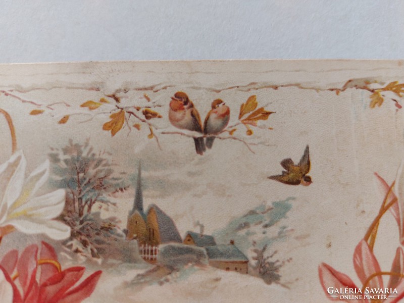 Régi képeslap 1901 levelezőlap ciklámen kismadarak