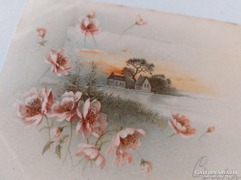 Régi képeslap 1899 levelezőlap tájkép virág