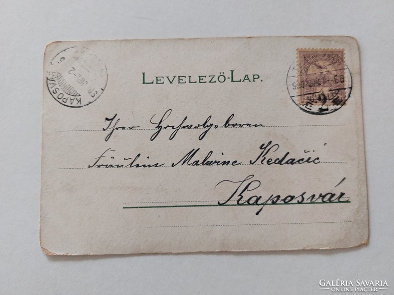 Régi képeslap 1900 levelezőlap kismadár nefelejcs