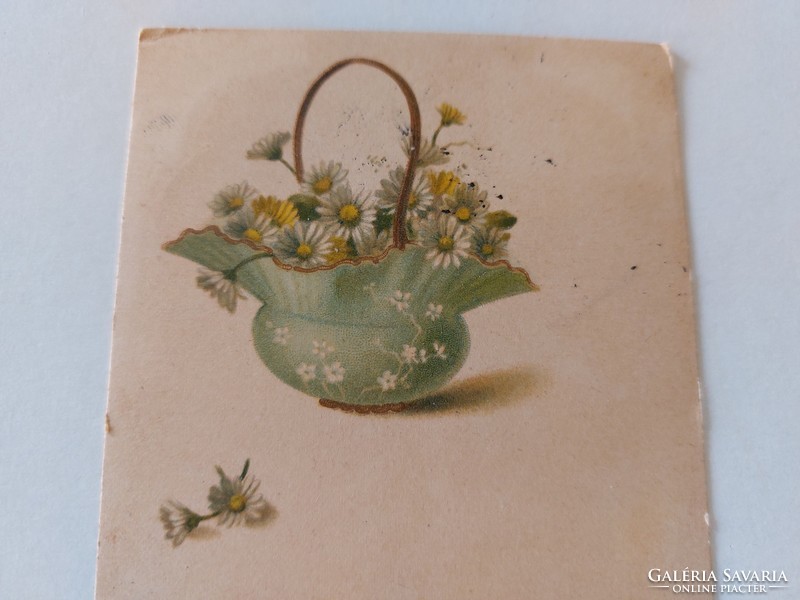 Old postcard 1900 postcard with chamomile