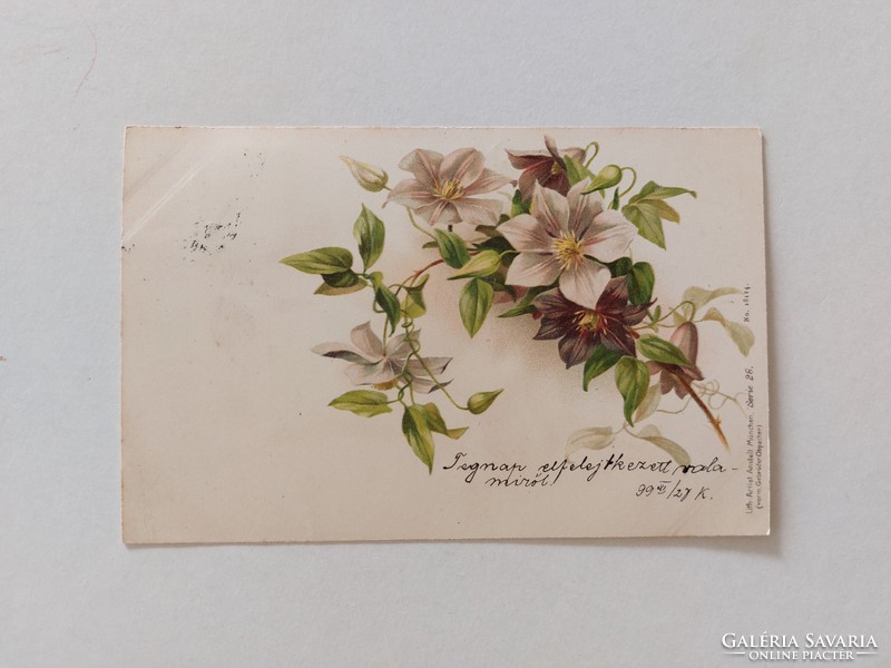 Régi képeslap 1899 levelezőlap klemátisz