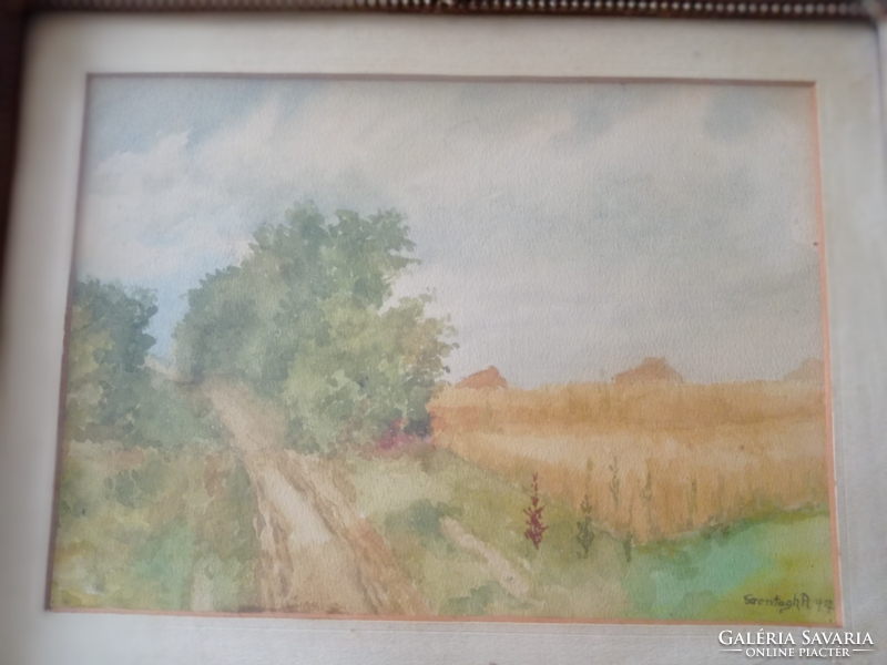 Sontágh: wheat field