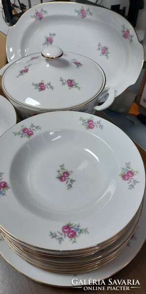 Beautiful porcelain tableware with a rose pattern, incomplete