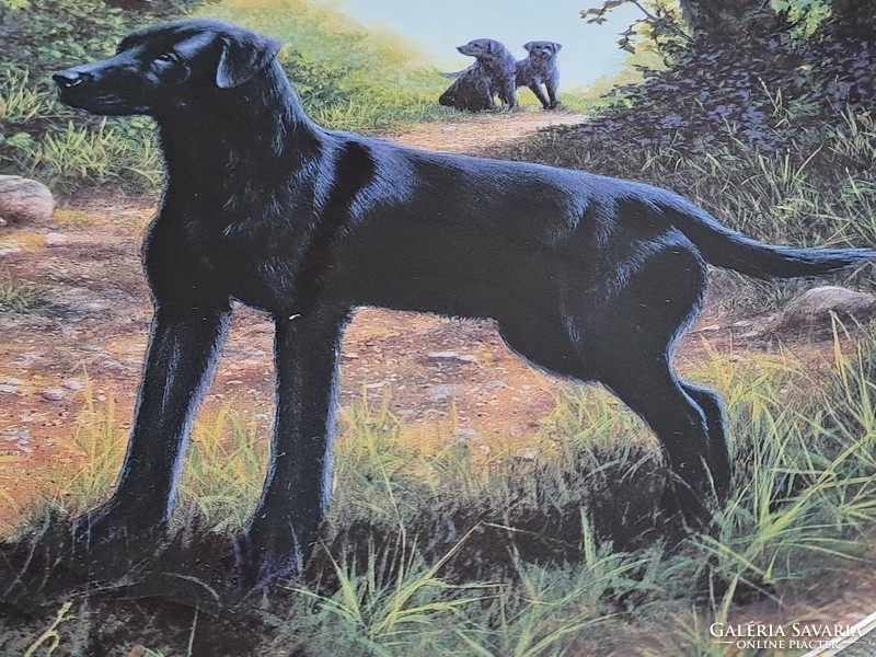 Wedgwood angol csontporcelán vintage dísztál fekete labradorok kutya 20 cm