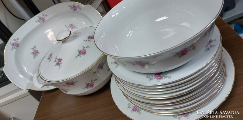 Beautiful porcelain tableware with a rose pattern, incomplete