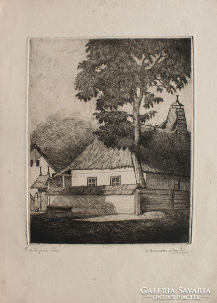 Tamás Bánszky: house in Tarpa