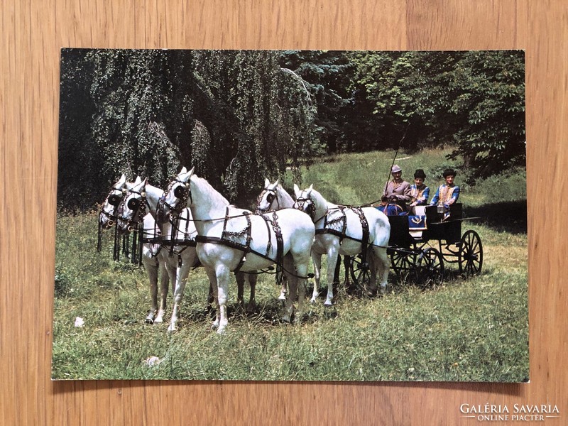Szilvásvárad - Lipica five-tooth postcard - postmarked