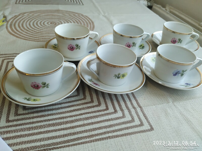 Höllóháza porcelain, floral, coffee set for sale!