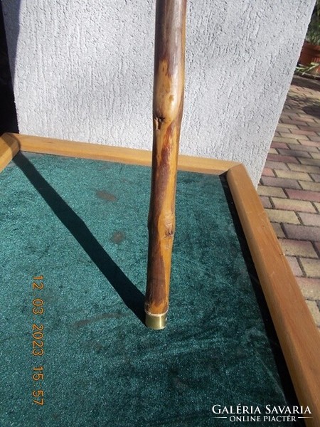 23-10 Walking stick, hiking stick