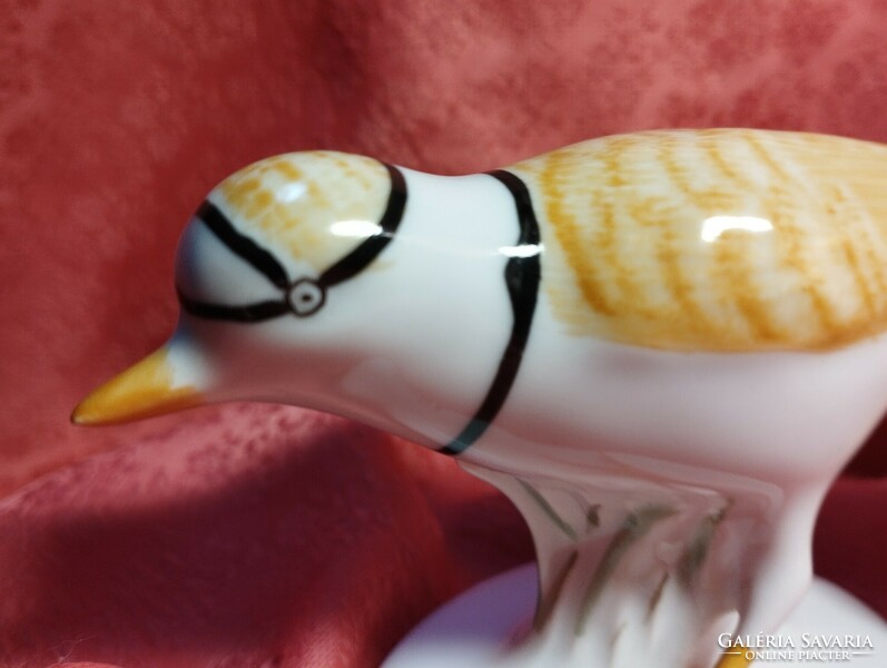 Porcelain bird, nipp