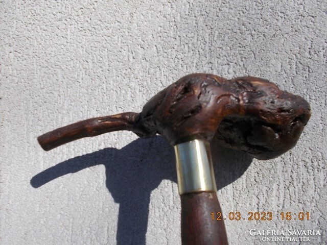 23-14 Walking stick, hiking stick