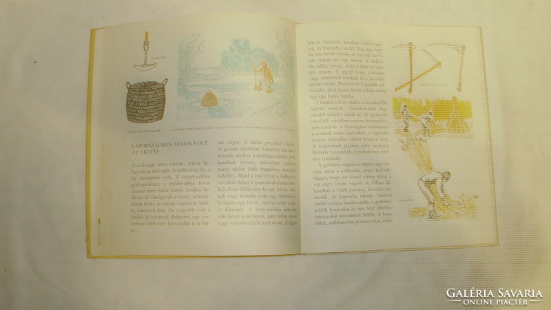 Farkas József: Amiről az Ecsedi-láp mesél - Gaál Domokos rajzaival - 1981