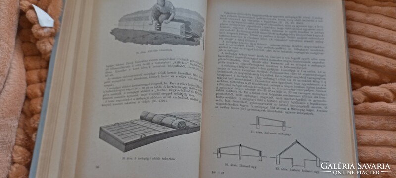 1961-es Kertészeti Szakkönyv