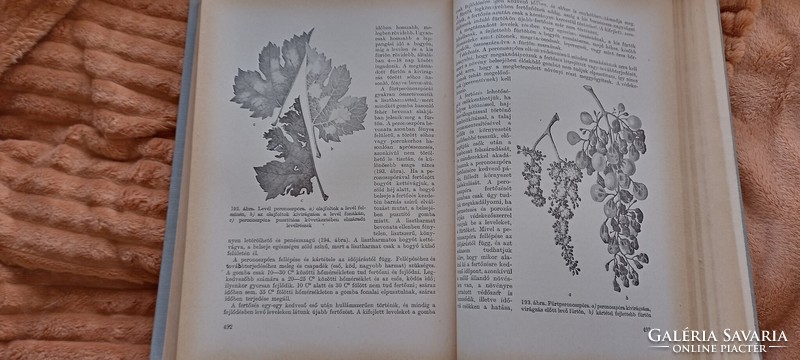 1961-es Kertészeti Szakkönyv