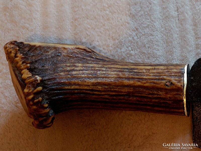 Antik kovácsolt bárd agancs markolattal a IXX.századból.