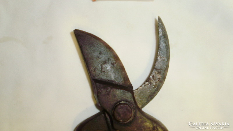 Antique pruning shears marked 