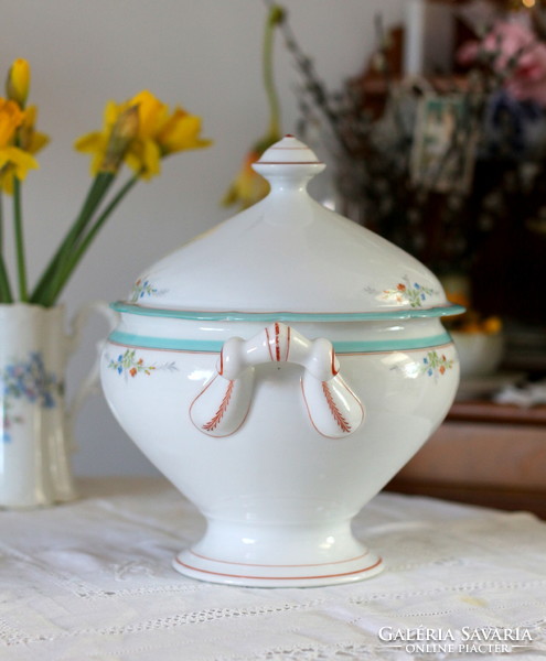 Beautiful, hand-painted porcelain Bieder soup bowl