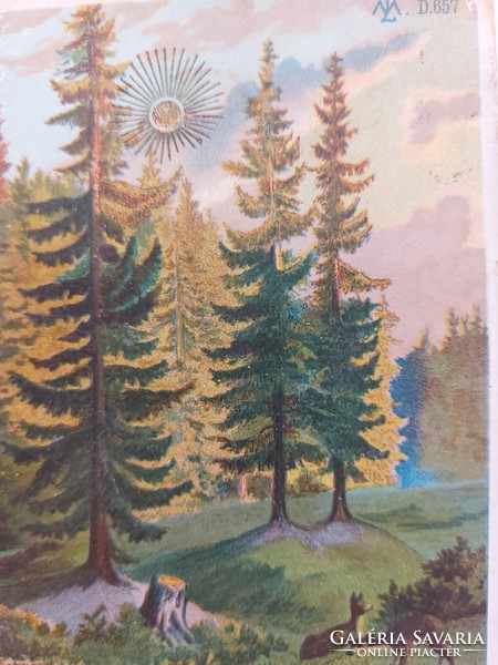 Régi képeslap 1900 levelezőlap tájkép fenyőerdő őzikék