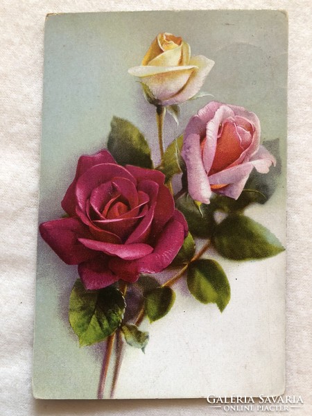Antique, old postcard with rose flowers -5.